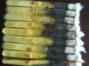 舒城縣金大地菌種廠 高品質食用菌菌種產品與進出口業(yè)務概覽