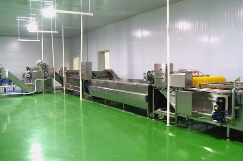 筑巢引鳳添動力，招商引資促發(fā)展 譜寫食用菌菌種進出口產業(yè)新篇章