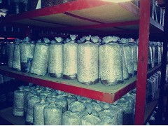 食用菌菌種進出口 產(chǎn)業(yè)發(fā)展的關鍵環(huán)節(jié)與規(guī)范管理