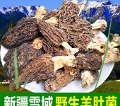 內(nèi)江蔬菜種植產(chǎn)業(yè)與食用菌菌種進出口市場的并行發(fā)展