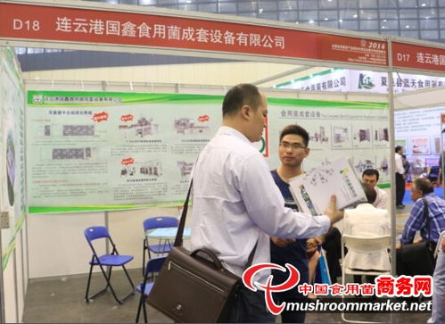 江蘇國鑫食用菌攜四大新品亮相鄭州菌博會，加速布局菌種進出口市場